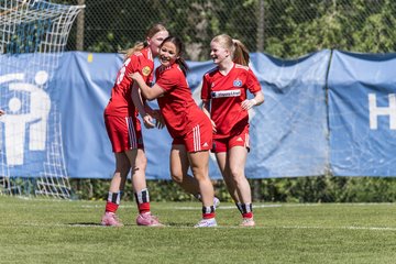 Bild 216 - wBJ Hamburger SV - Hertha BSC : Ergebnis: 5:2